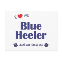 I Love My Blue Heeler (Female Dog) Postcards