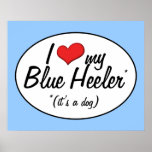 I Love My Blue Heeler (It's a Dog) Poster
