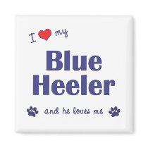 I Love My Blue Heeler (Male Dog) Fridge Magnets