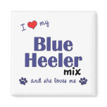 I Love My Blue Heeler Mix (Female Dog) magnets