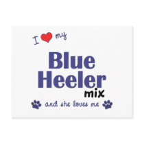 I Love My Blue Heeler Mix (Female Dog) Post Cards