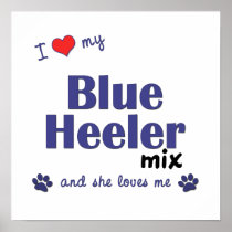 I Love My Blue Heeler Mix (Female Dog) Poster