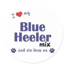 I Love My Blue Heeler Mix (Female Dog) Round Stickers