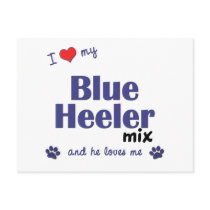 I Love My Blue Heeler Mix (Male Dog) Post Card