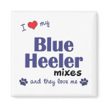 I Love My Blue Heeler Mixes (Multiple Dogs) magnets