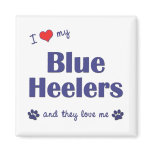 I Love My Blue Heelers (Multiple Dogs) magnets