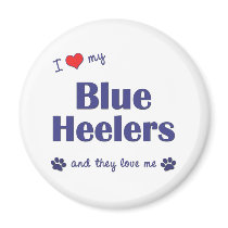 I Love My Blue Heelers (Multiple Dogs) Magnet