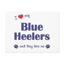 I Love My Blue Heelers (Multiple Dogs) Post Cards