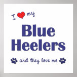 I Love My Blue Heelers (Multiple Dogs) posters