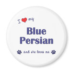 I Love My Blue Persian (Female Cat) magnets