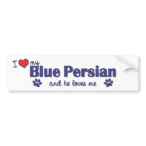 I Love My Blue Persian (Male Cat) Bumper Sticker