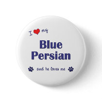 I Love My Blue Persian (Male Cat) Pinback Buttons