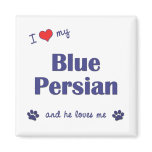 I Love My Blue Persian (Male Cat) magnets
