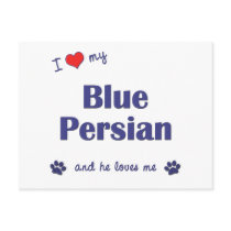 I Love My Blue Persian (Male Cat) Post Card