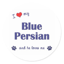 I Love My Blue Persian (Male Cat) Sticker