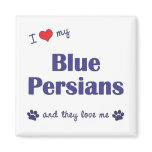 I Love My Blue Persians (Multiple Cats) magnets