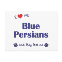 I Love My Blue Persians (Multiple Cats) Post Cards