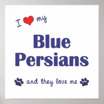 I Love My Blue Persians (Multiple Cats) Posters