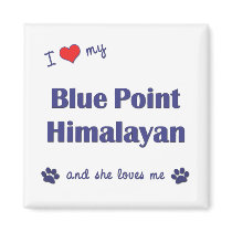 I Love My Blue Point Himalayan (Female Cat) Refrigerator Magnets