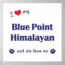 I Love My Blue Point Himalayan (Female Cat) Print