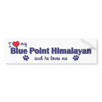 I Love My Blue Point Himalayan (Male Cat) Bumper Sticker