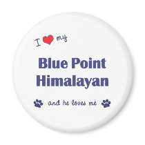 I Love My Blue Point Himalayan (Male Cat) Fridge Magnets