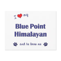 I Love My Blue Point Himalayan (Male Cat) Postcards