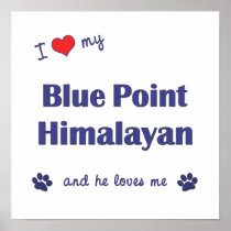 I Love My Blue Point Himalayan (Male Cat) Posters
