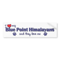 I Love My Blue Point Himalayans (Multiple Cats) Bumper Sticker