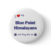 I Love My Blue Point Himalayans (Multiple Cats) Pinback Button