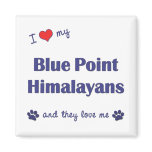 I Love My Blue Point Himalayans (Multiple Cats) magnets
