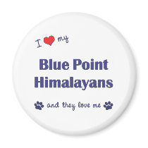 I Love My Blue Point Himalayans (Multiple Cats) Magnet