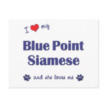 I Love My Blue Point Siamese (Female Cat) Post Cards