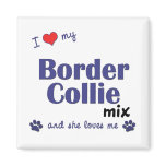 I Love My Border Collie Mix (Female Dog) Fridge Magnets