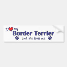 I Love My Border Terrier (Female Dog) Bumper Stickers
