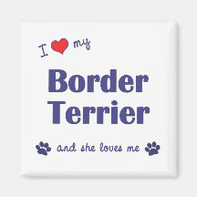 I Love My Border Terrier (Female Dog) Fridge Magnet