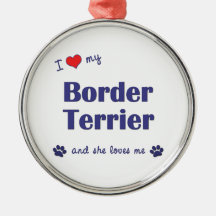 I Love My Border Terrier (Female Dog) Christmas Ornament