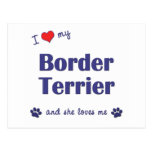 I Love My Border Terrier (Female Dog) Postcard