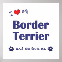 I Love My Border Terrier (Female Dog) Poster
