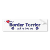 I Love My Border Terrier (Male Dog) Bumper Stickers