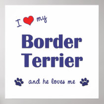 I Love My Border Terrier (Male Dog) Print