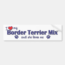 I Love My Border Terrier Mix (Female Dog) Bumper Sticker