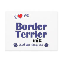 I Love My Border Terrier Mix (Female Dog) Post Card