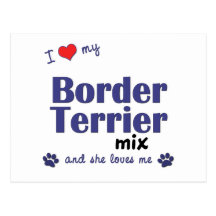 I Love My Border Terrier Mix (Female Dog) Post Card
