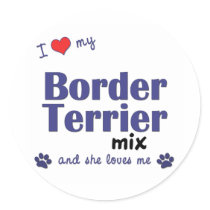 I Love My Border Terrier Mix (Female Dog) Round Stickers