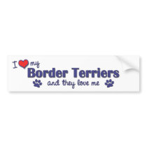 I Love My Border Terriers (Multiple Dogs) Bumper Sticker