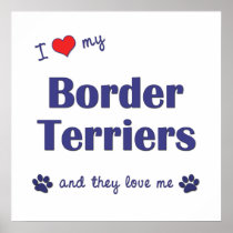 I Love My Border Terriers (Multiple Dogs) Poster