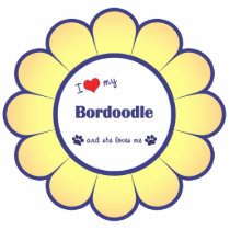 I Love My Bordoodle (Female Dog) Acrylic Cut Out