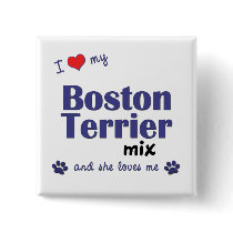 I Love My Boston Terrier Mix (Female Dog) Buttons