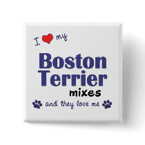 I Love My Boston Terriers (Multiple Dogs) Pinback Button